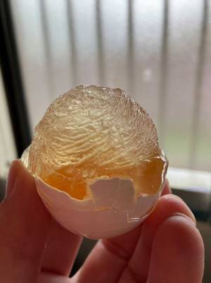 朝ごはんを作ろうとしたら芸術品が完成？　１枚の写真に反響