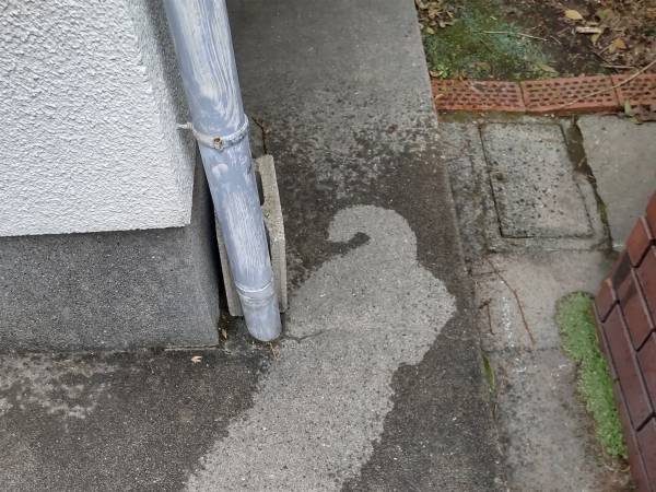 雨の日の写真に２２万いいね！　見事な『犬拓』に「お見事」「もはやアート」