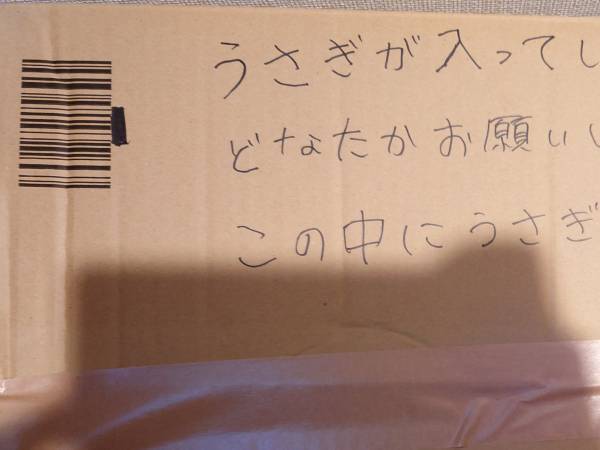 「捨てられたウサギの気持ち、分かりますか？」　保護主の投稿に「涙が出た」「広まってほしい」