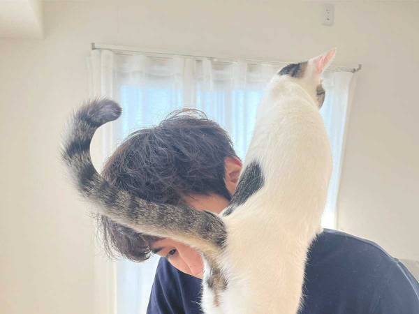 飼い主「在宅勤務の実態」　公開した２枚に、吹き出す人が続出！