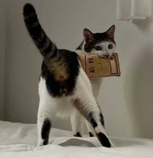 「給料泥棒だ！」「前髪がある…」　ツッコミどころが多い１枚に、６万人が『いいね』