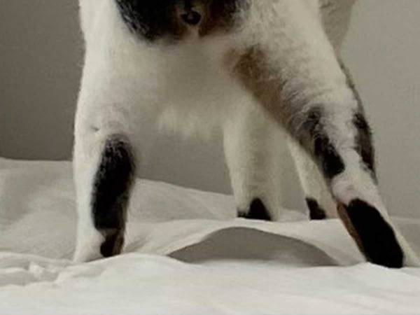 「給料泥棒だ！」「前髪がある…」　ツッコミどころが多い１枚に、６万人が『いいね』