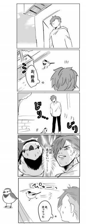 野鳥の様子を目で追っていると…　展開に「無防備すぎて心配になる！」