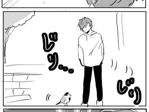 野鳥の様子を目で追っていると…　展開に「無防備すぎて心配になる！」