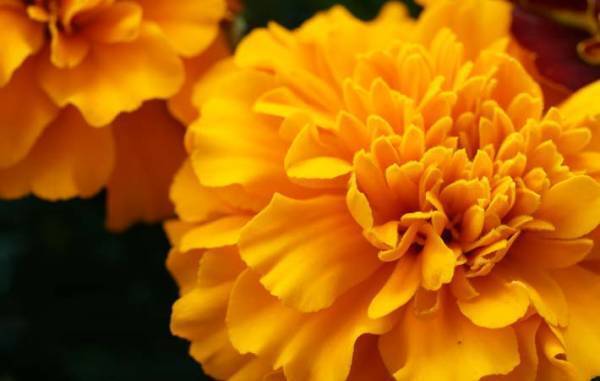 『自分の歌』を書くことで、人生に新しい物語を創っていく