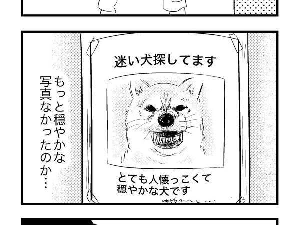 迷い子になった犬の貼り紙　表情に「ほかになかったのか…？」