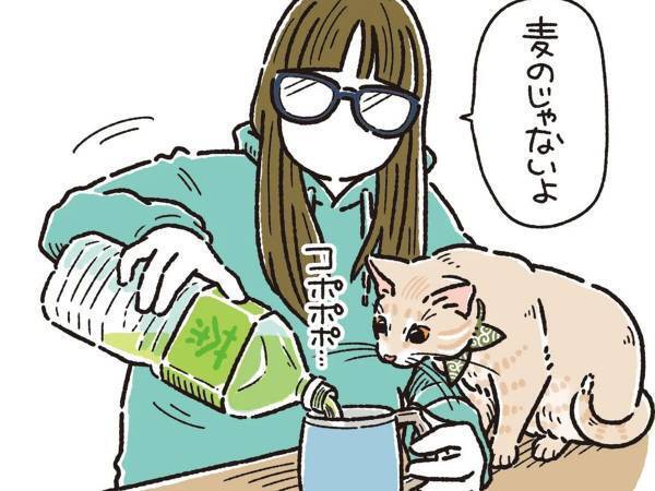 お茶を飲んでいる飼い主に、猫が？　あるあるな展開に共感の声