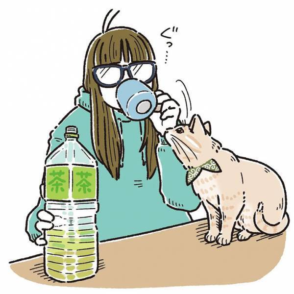お茶を飲んでいる飼い主に、猫が？　あるあるな展開に共感の声