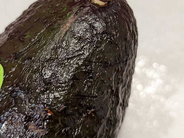 アボカドの選び方のコツに「気にしてなかった…」「なんだって！」