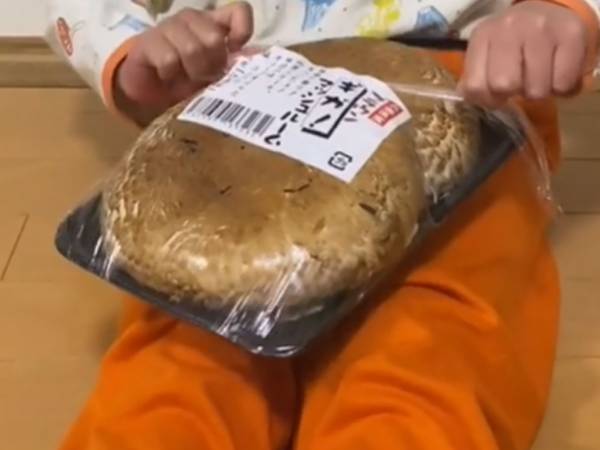 キノコが大好きな息子　職場の先輩が買ってくれた『超巨大キノコ』を渡すと？