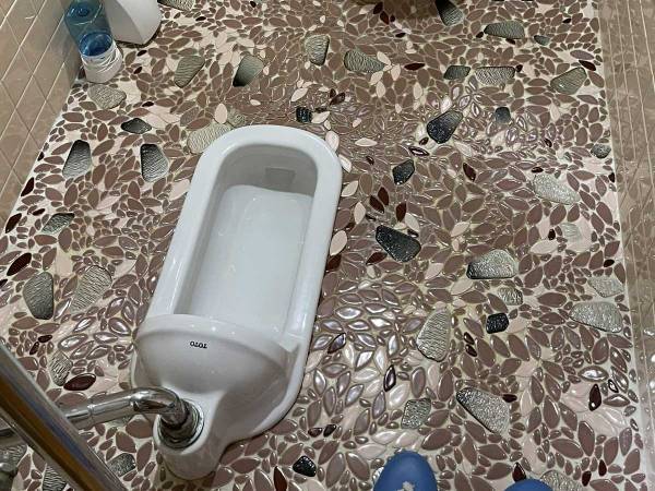 「どういうことよ…」「斬新」　宿泊先の珍しいトイレにビックリ！