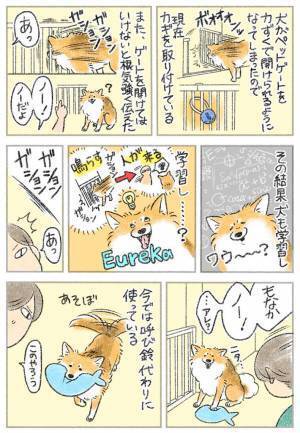 ゲートを突破してしまう犬　飼い主が根気強く伝えると？　「この賢さ、見習いたい！」