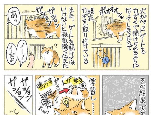 ゲートを突破してしまう犬　飼い主が根気強く伝えると？　「この賢さ、見習いたい！」