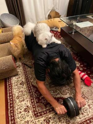 飼い主「大誤算」　腹筋ローラーで筋トレしようとしたら猫が…？