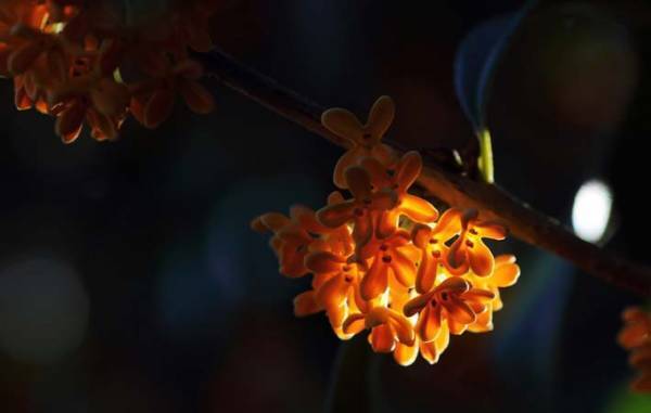 長い人生の中の「ふと〜」と思った瞬間からつながる場所に、物語がある