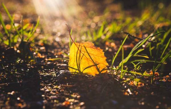長い人生の中の「ふと〜」と思った瞬間からつながる場所に、物語がある
