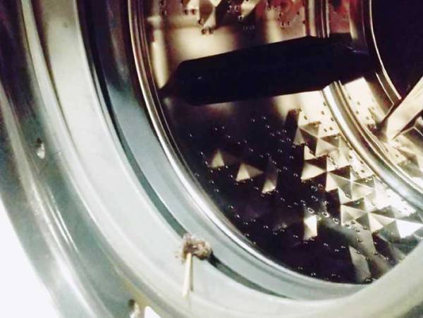 意外と盲点…！　ドラム式洗濯機の『あの部分』にも、ホコリは溜まります