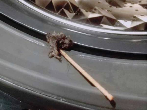 意外と盲点…！　ドラム式洗濯機の『あの部分』にも、ホコリは溜まります