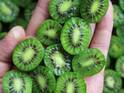 スーパーでは見られない？　秋が旬の『かわいすぎるキウイ』に反響　「初めて見た」「食べてみたい」