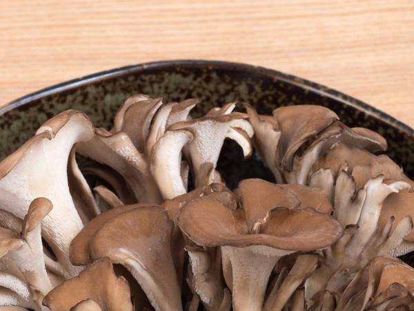 マイタケの保存方法に「これは本当にオススメ！」