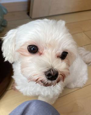 「キウイなら分かる」　あるシールを貼ったノートに「どんな趣味なの～！？」