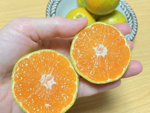とても酸っぱそうなミカン　味わいに「今まで避けてたけど買ってみよう！」