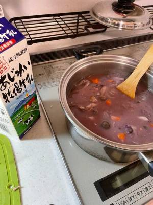 調理中のシチューの様子に「大丈夫かこれ」「アニメみたいで笑った！」