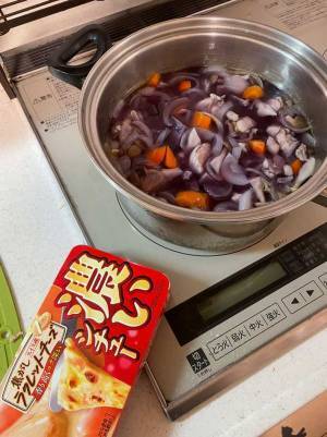 調理中のシチューの様子に「大丈夫かこれ」「アニメみたいで笑った！」