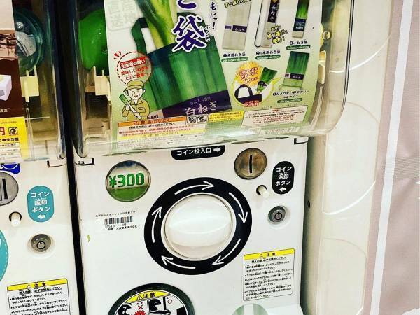 「なんて画期的なの」　持ち帰りにくい野菜を、楽に持ち帰れる袋に親が大興奮！