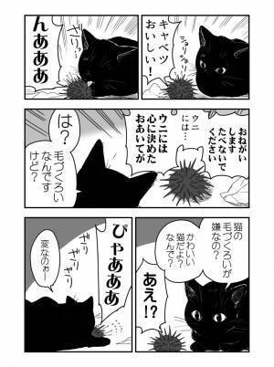 自分のかわいさを知っている猫　ウニとの絡みに「かなり好き」「互角の戦い」