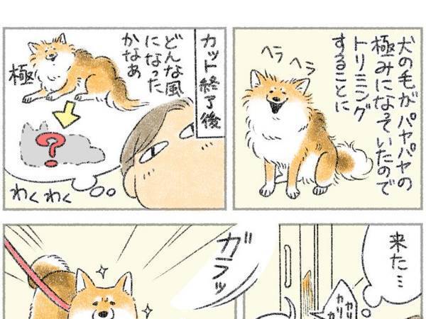 トリミングされた犬をお迎えに　出てきた姿に「めっちゃ分かる」「うちの子は野球部」