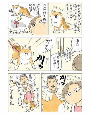 トリミングされた犬をお迎えに　出てきた姿に「めっちゃ分かる」「うちの子は野球部」