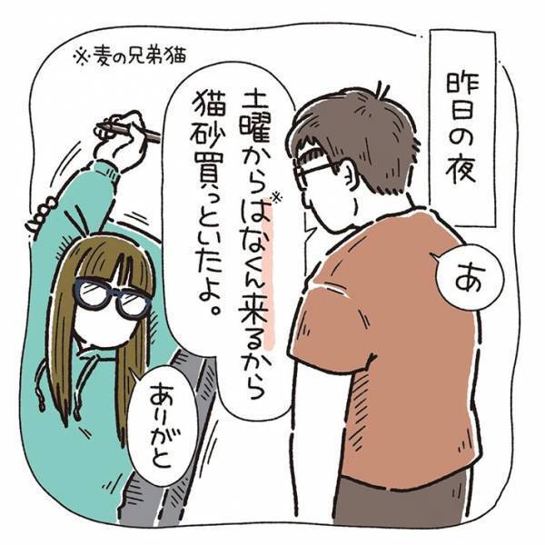 「勘が鋭い」　４時間半も飼い主に甘えた猫　すると、夫がハッとして？