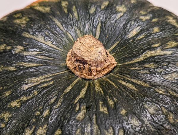 「勉強になります」　スーパーの青果部がすすめる、おいしいカボチャの見分け方とは