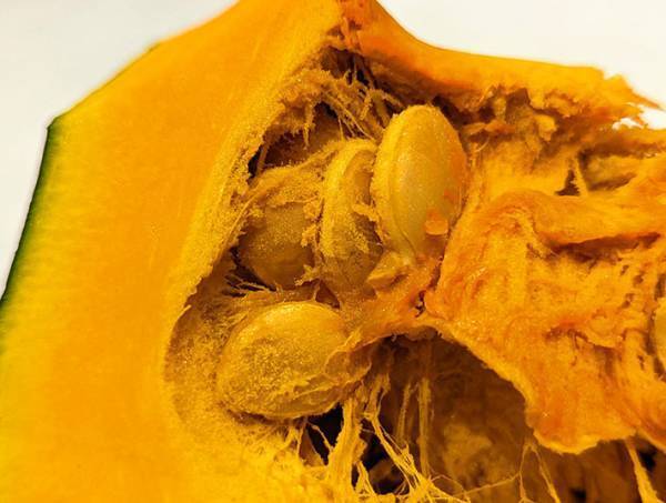 「勉強になります」　スーパーの青果部がすすめる、おいしいカボチャの見分け方とは