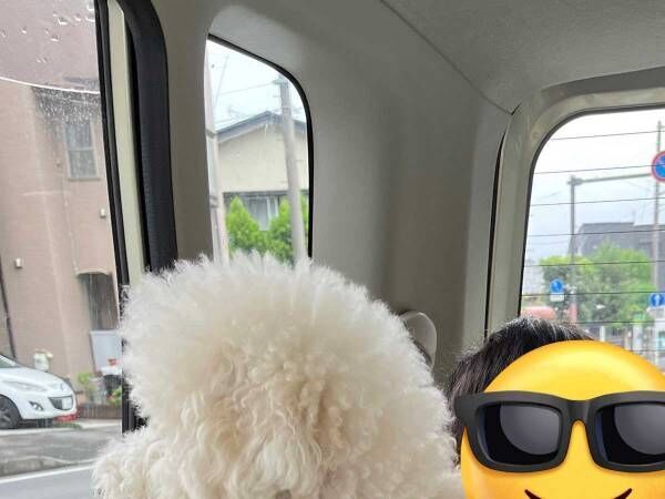 小学１年生の男の子がトイプードルを抱くと 大きすぎる 22年10月11日 ウーマンエキサイト