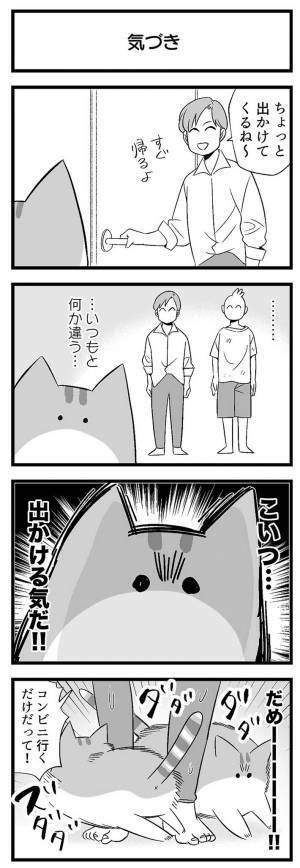 コンビニに出かけようとした飼い主　まじまじと見てきた愛猫が？