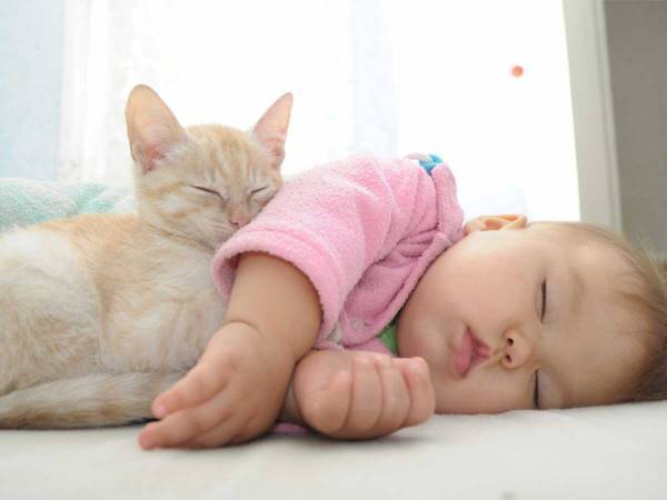 赤ちゃんと初対面した猫のリアクションに「かわいすぎる」「恋しているね」