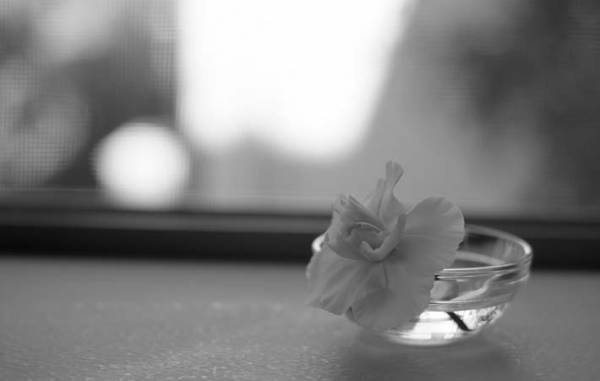 忘れてもいいことは忘れていく　忘れることは、自分を楽にしてくれることもあるかもしれない