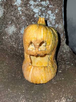 娘が作ったカボチャのランタン　数日後の姿に「夜に見たら泣く！」