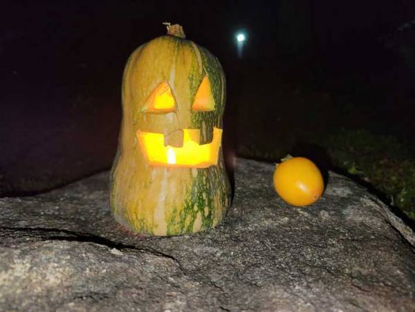 娘が作ったカボチャのランタン　数日後の姿に「夜に見たら泣く！」