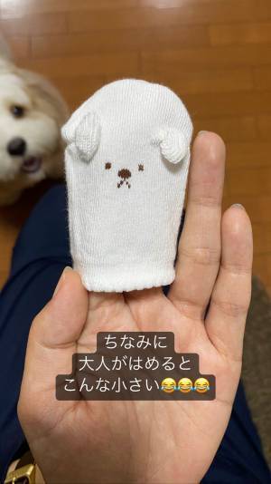 隙あり！狙われた『ミトン』の変わり果てた姿に「一生笑ってしまいそう」