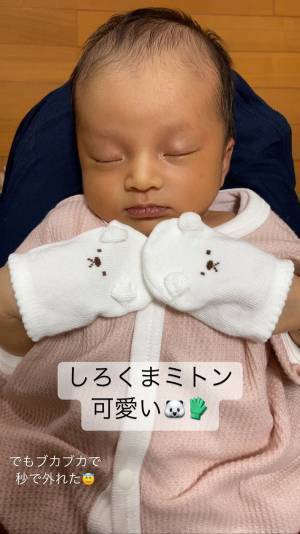 隙あり！狙われた『ミトン』の変わり果てた姿に「一生笑ってしまいそう」