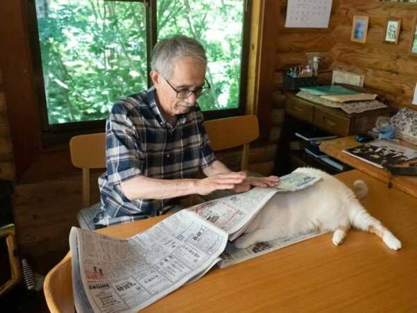 新聞を読むのを邪魔する猫　父親が『仕返し』をすると？　「笑った」「漫画みたいな展開」