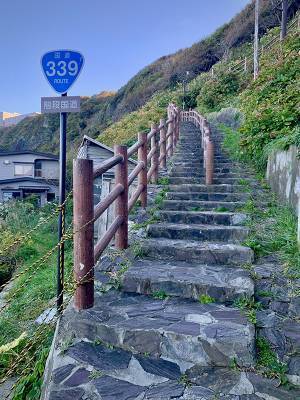 「これに興奮できる人、友達になろう」　写真に「目が飛び出た」「間違いなく大興奮」