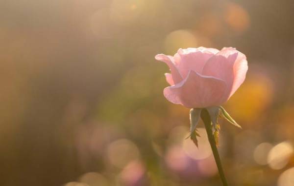 息苦しさが残るこの世界の中で思うのは、「言葉にして気持ちを伝えることの大切さ」