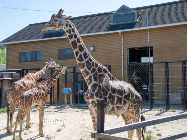 「こんな行為、やめてください」　動物園で起こった出来事に「信じられない」の声
