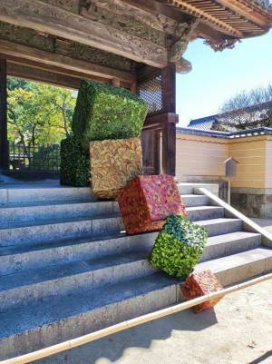 神社の階段にあったものが？　「目が錯覚を起こしたかと思った…！」