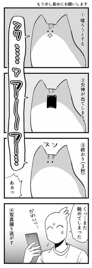 「またチャンスを逃してしまった」　飼い主が、悔しい思いをする瞬間は？