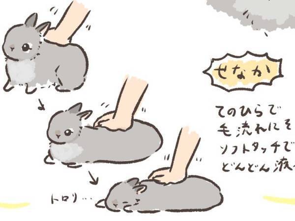 ウサギは、どこをなでれば喜ぶ？　愛するペットを観察した結果に「かわいすぎ」「きゅんとした」